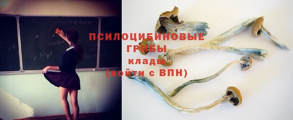 мескалин Балахна